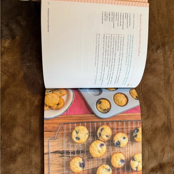 The Big Book of Organic Baby Food by Stephanie Middleberg - Picture 3 of 7